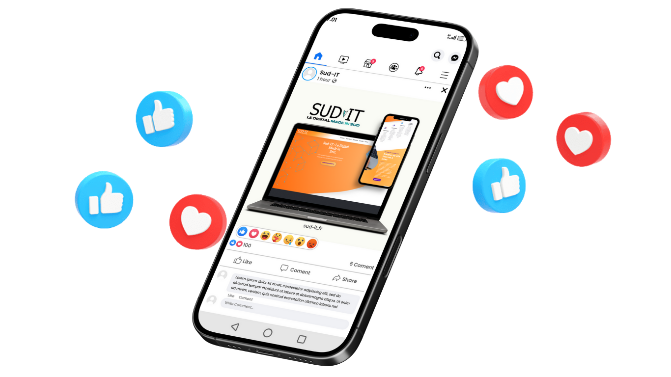 Sud-IT Facebook Ads Istres